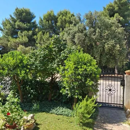 With Parking Space Biograd Na Moru, Biograd - 25399 * Biograd Na Moru
